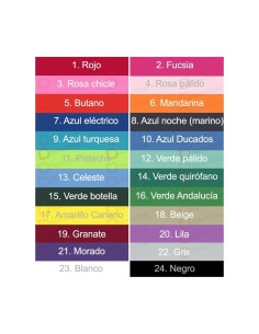 Comprar Blusón para peñas de adulto combinado a 2 colores 2
