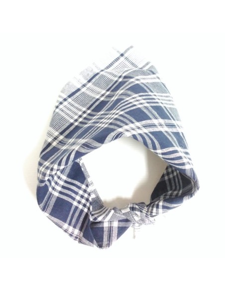 Comprar Pañuelo fallero